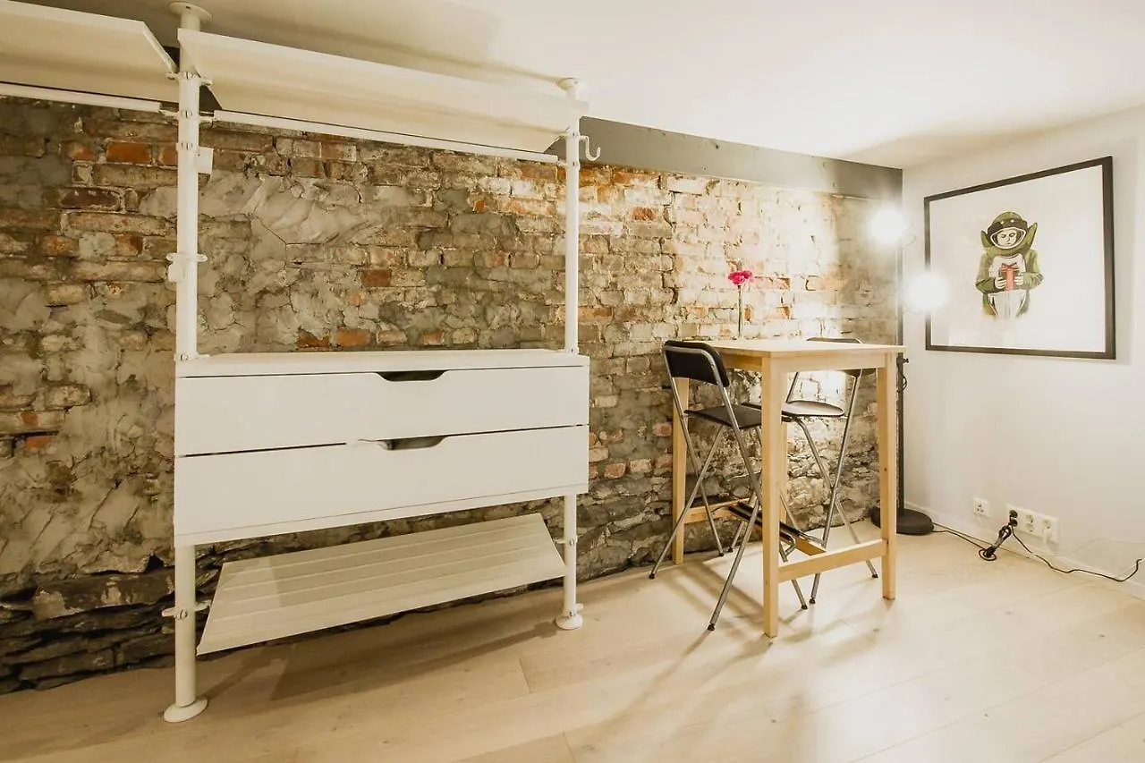 Central Studio Basement Apartment Bergen