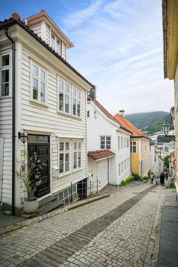 Central Studio Basement Apartment Bergen